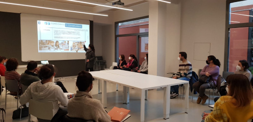 Formació professors