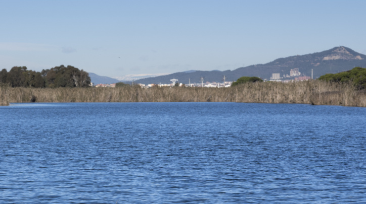 L'estany de la Ricarda amb els Pirineus al fons (Foto: David Airob) 