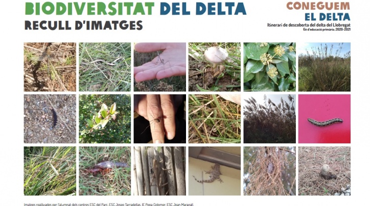 Coneguem el delta Coneguem el delta
