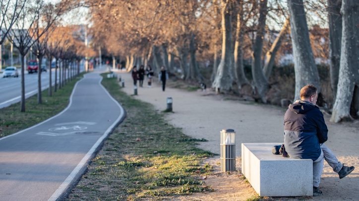 Bancs camí de la platja