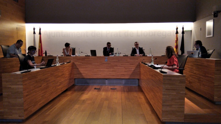 Ple amb el suport de mitjans telemàtics de juny de 2020