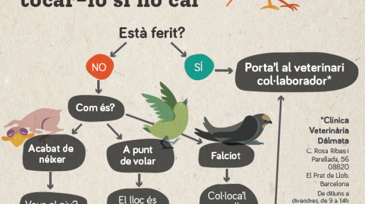 Protocol ocells
