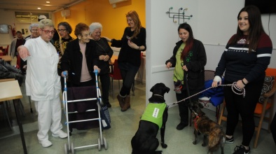 La Teràpia assistida amb gossos (TAG) permet treballar emocions i relacions socials.