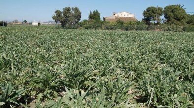El Prat, ciutat fundadora de la "Red de Ciudades por la Agroecología"