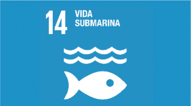 Imatge gràfica de l'ODS 14. Vida Submarina