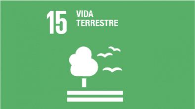 Imatge gràfica de l'ODS 15. Vida Terrestre