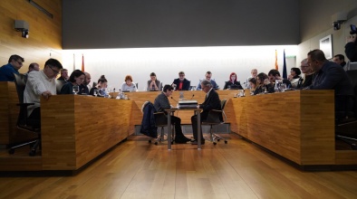 Ple municipal 11 de desembre 2019
