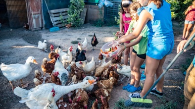 Activitats a l'Escola d'Estiu "Healthy families" (2019)