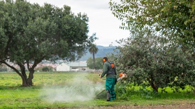 Alumne de FP Agrària a Can Comas (Parc Agrari del Baix Llobregat)