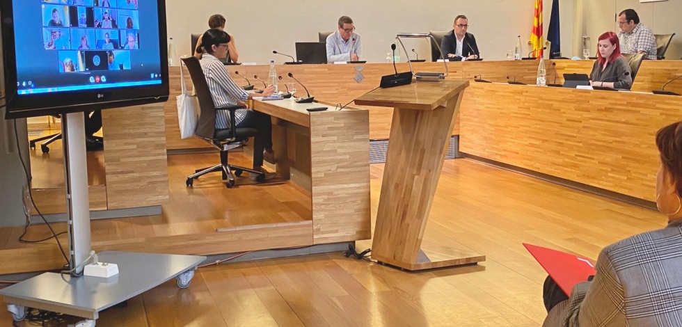 Pacte Local Ocupació Activitat Econòmica