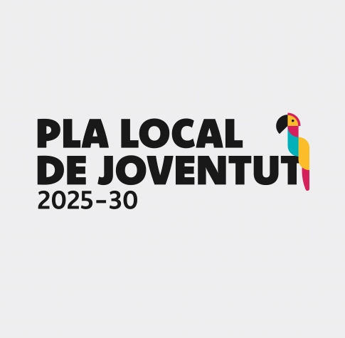 Pla Local de Joventut 2025 - 30
