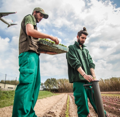 Formacio Professional (FP)